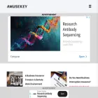 amusekey.com