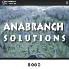 anabranchsolutions.com