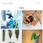 anaesthesiasociety.org.nz