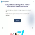 analyticsliv.com