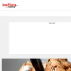 anamariareceitas.com.br