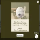 andamanspahouston.com