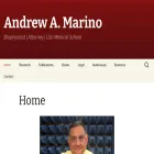 andrewamarino.com