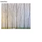 andrewlmoore.com