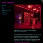 angelawashko.com