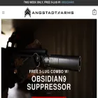 angstadtarms.com