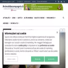 animalidacompagnia.it