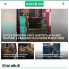 animalioggi.it