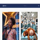 animallovers2024.foundation