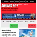 animals24-7.org
