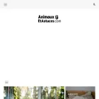 animauxetastuces.com