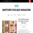 anotherchicagomagazine.net
