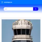 anslookupgo.com