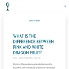 answer-questions.com