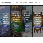 answerinsight.com