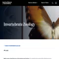 antbase.org