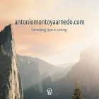 antoniomontoyaarnedo.com