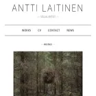 anttilaitinen.com