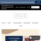 anuemiami.com