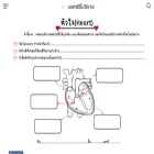anuthidas.com