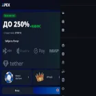 apex-casino.io