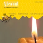 apiconsult.com