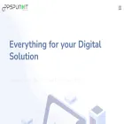 appspunditinfotech.com