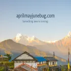 aprilmayjunebug.com