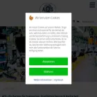 aqs-automotive.de