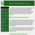 aquamentus.com