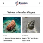 aquariumwhisperer.com