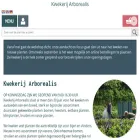 arborealis.nl