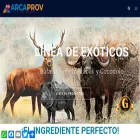 arcaprov.com