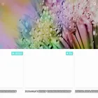 arincoroom.com