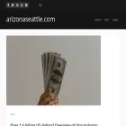 arizonaseattle.com