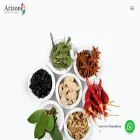 arizoneinternational.com