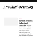 arrowheadarchaeology.co.uk
