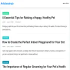 articlesshub.com