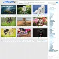 artleo.com