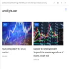 artsflight.com