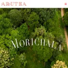 arutza.com