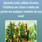 arvoresfrutiferasemvaso.com