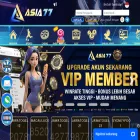 asia77lu.com