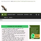 askmaulana.com
