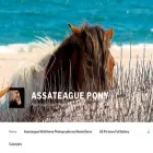 assateaguepony.com