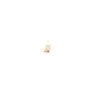 astrologertyagi.com
