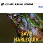 atelopus.org