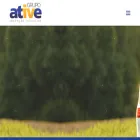 ative.com.br