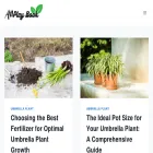 atlplaybook.com