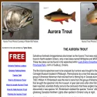 auroratrout.com
